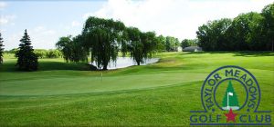Read more about the article Taylor Meadows Golf Course Renovation Underway